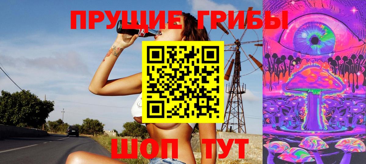 Псилоцибиновые грибы Psilocybine cubensis Гурьевск